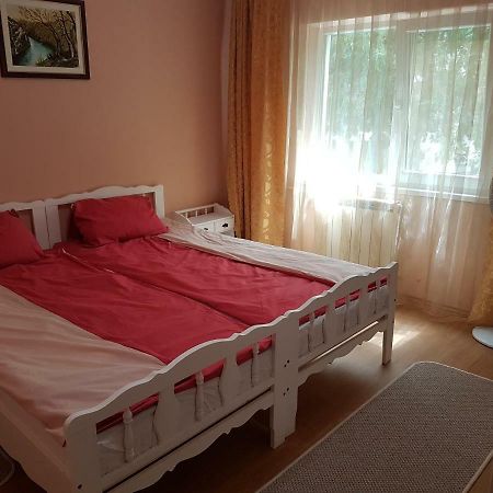 Apartmán Apartament Aura Oradea Exteriér fotografie